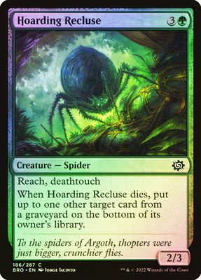 Hoarding Recluse