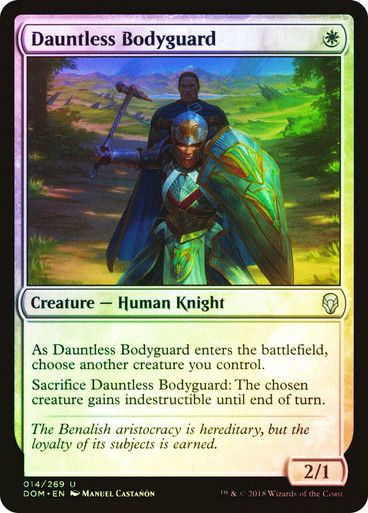Dauntless Bodyguard
