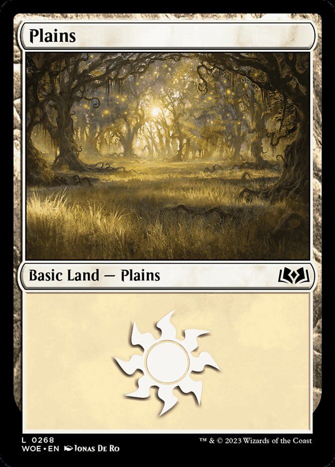 Plains Plains