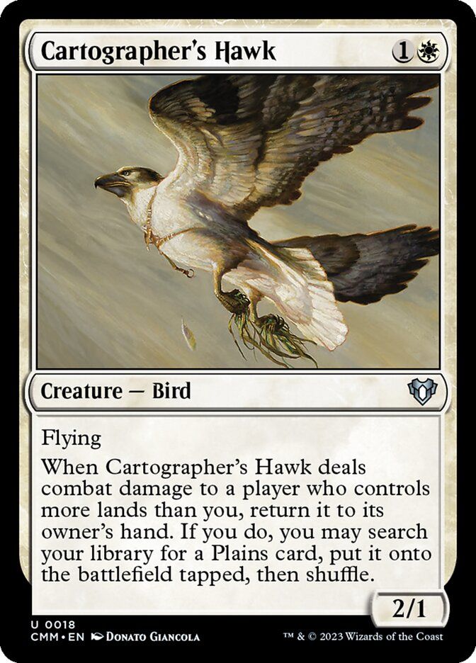 Cartographer's Hawk Cartographer's Hawk