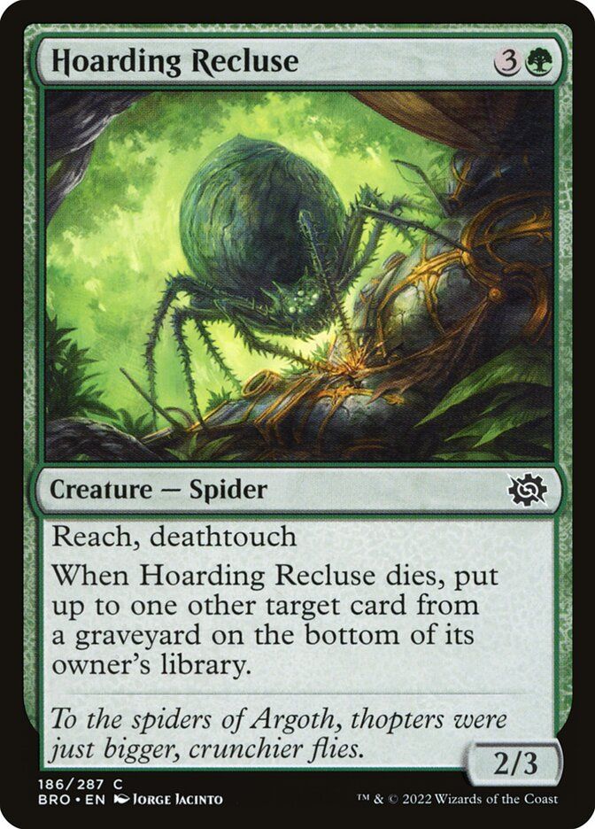 Hoarding Recluse Hoarding Recluse