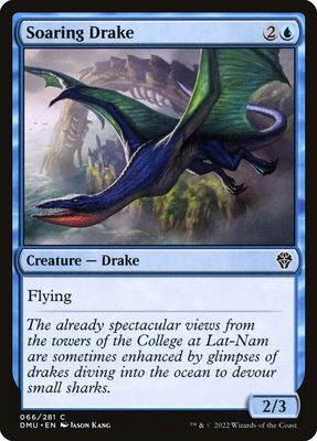 Soaring Drake Soaring Drake