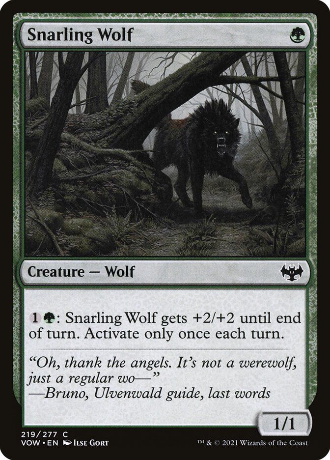 Snarling Wolf Snarling Wolf