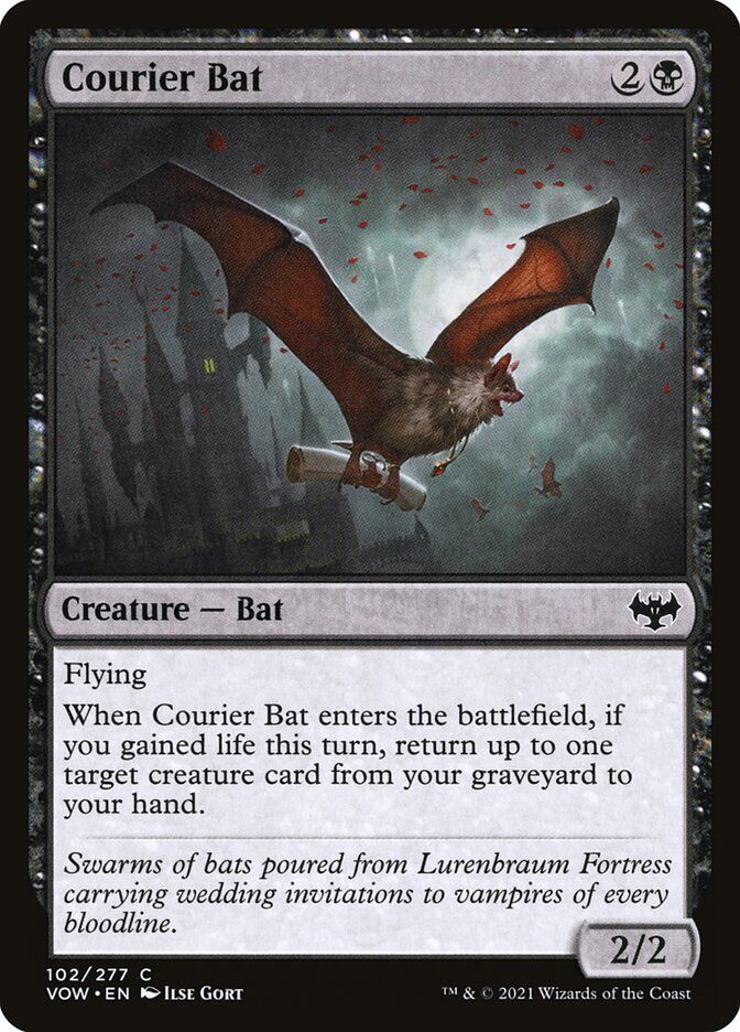 Courier Bat Courier Bat