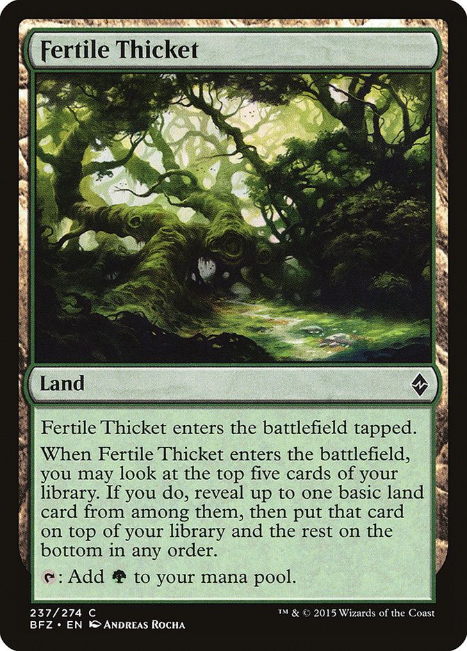 Fertile Thicket Fertile Thicket