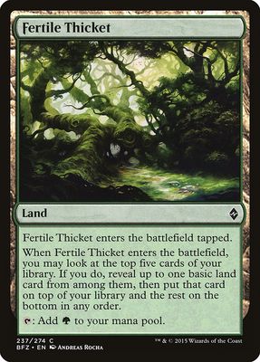 Fertile Thicket Fertile Thicket