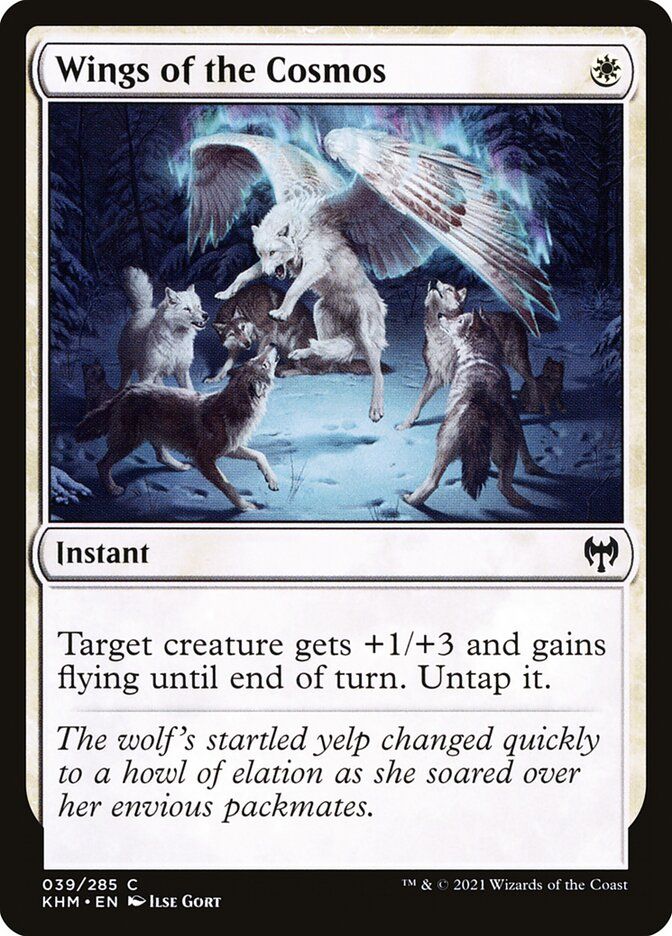 Wings of the Cosmos Wings of the Cosmos