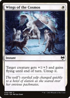 Wings of the Cosmos Wings of the Cosmos