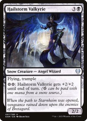 Hailstorm Valkyrie Hailstorm Valkyrie