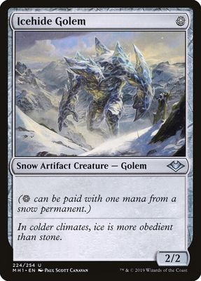 Icehide Golem Icehide Golem