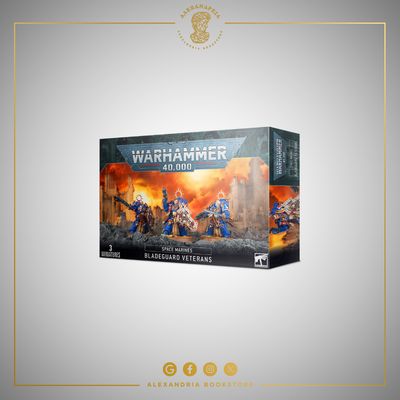 Space Marines: Bladeguard Veterans