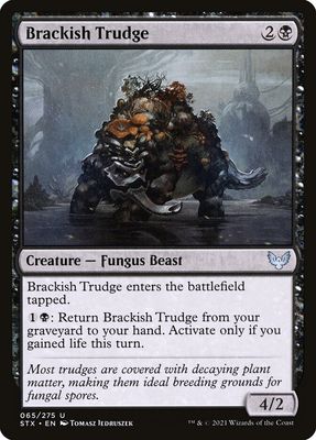 Brackish Trudge Brackish Trudge
