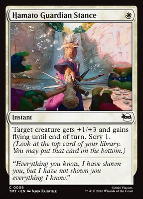 Hamato Guardian Stance