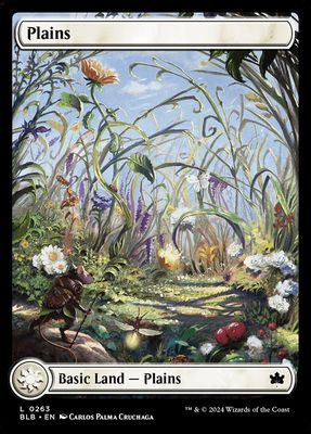 Plains Plains