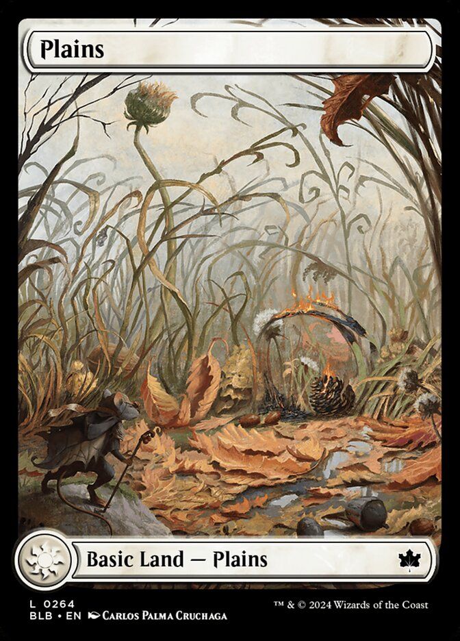 Plains Plains