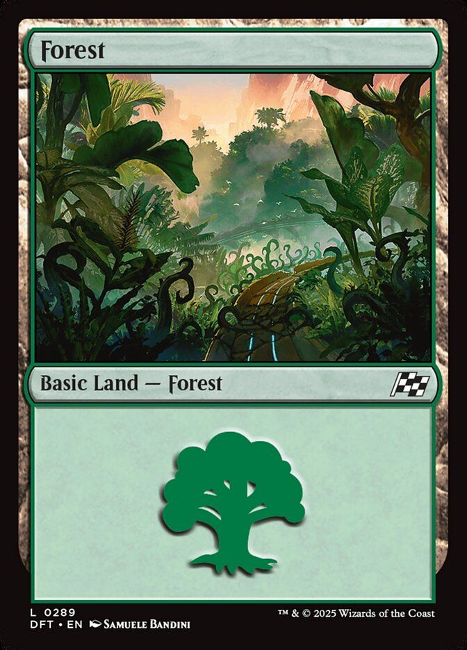 Forest Forest