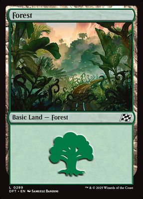 Forest Forest