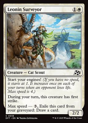 Leonin Surveyor Leonin Surveyor