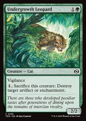 Undergrowth Leopard Undergrowth Leopard