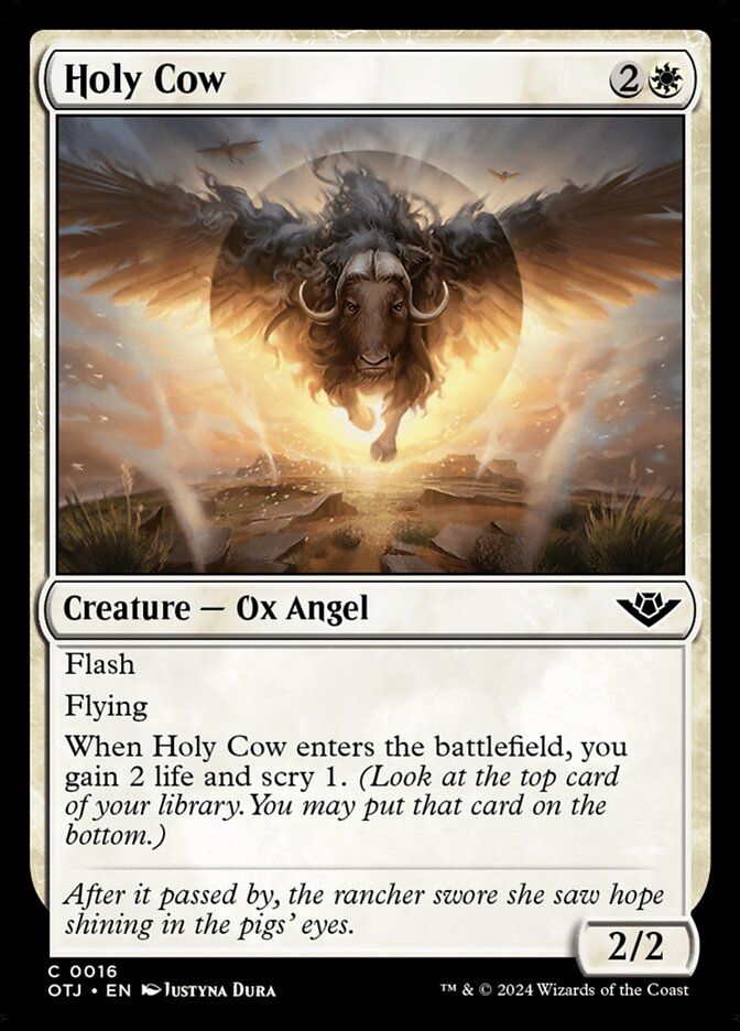 Holy Cow Holy Cow