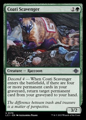 Coati Scavenger Coati Scavenger
