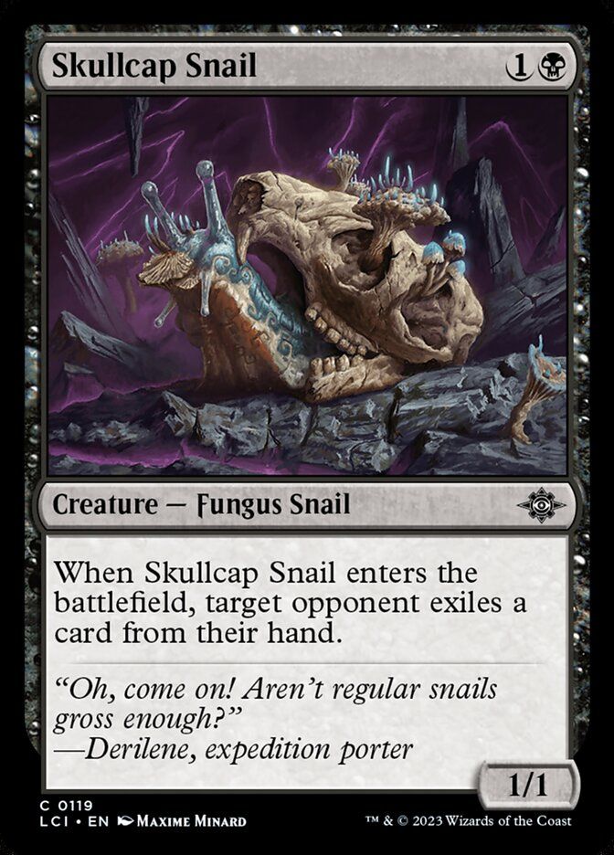 Skullcap Snail Skullcap Snail