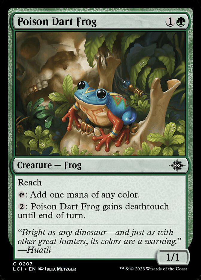 Poison Dart Frog Poison Dart Frog