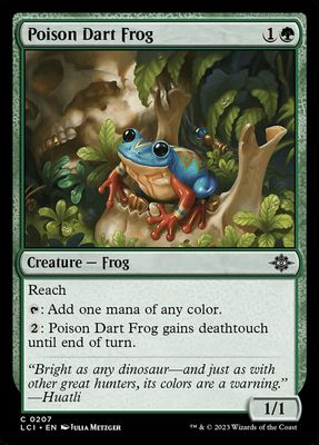 Poison Dart Frog Poison Dart Frog