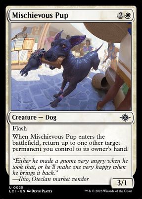 Mischievous Pup Mischievous Pup