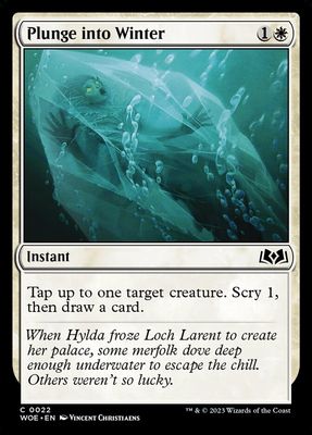 Plunge into Winter Plunge into Winter