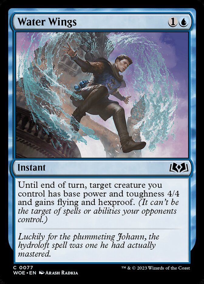 Water Wings Water Wings