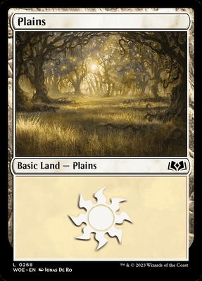 Plains Plains