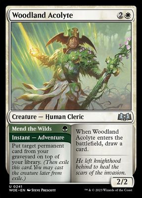 Woodland Acolyte // Mend the Wilds Woodland Acolyte // Mend the Wilds