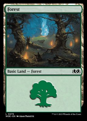 Forest Forest