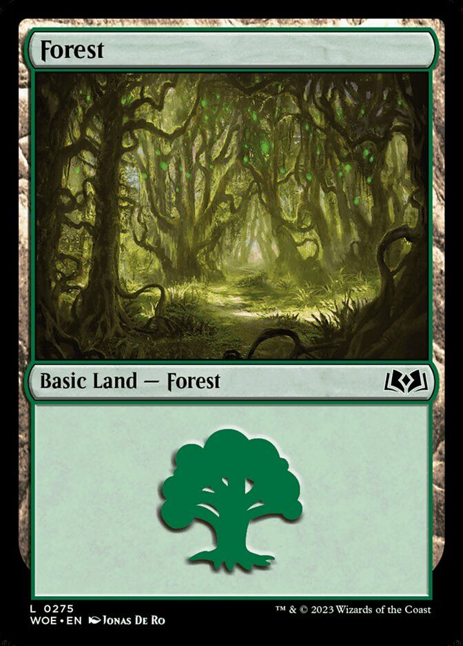 Forest Forest