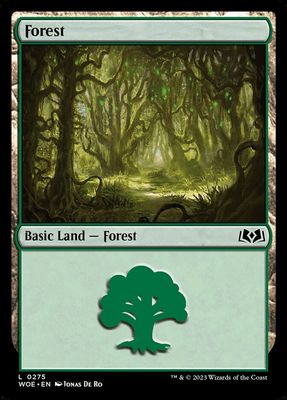 Forest Forest