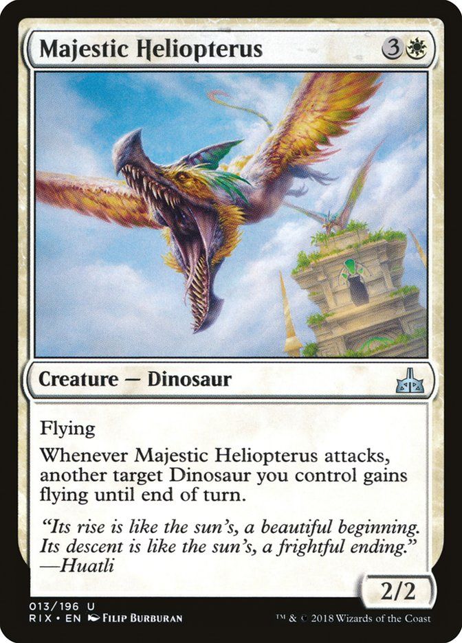 Majestic Heliopterus Majestic Heliopterus