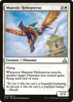 Majestic Heliopterus Majestic Heliopterus