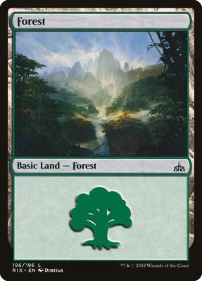 Forest Forest