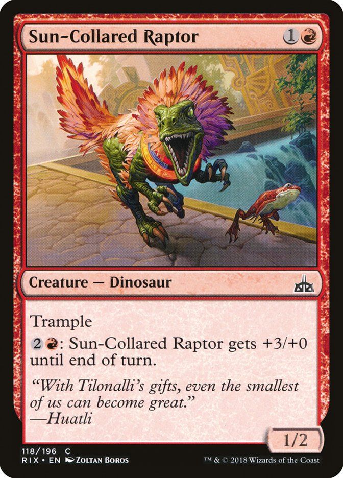 Sun-Collared Raptor Sun-Collared Raptor