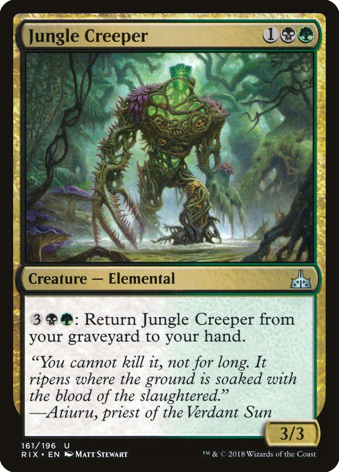 Jungle Creeper Jungle Creeper