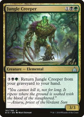 Jungle Creeper Jungle Creeper