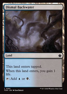 Dismal Backwater Dismal Backwater