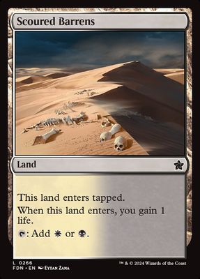 Scoured Barrens Scoured Barrens