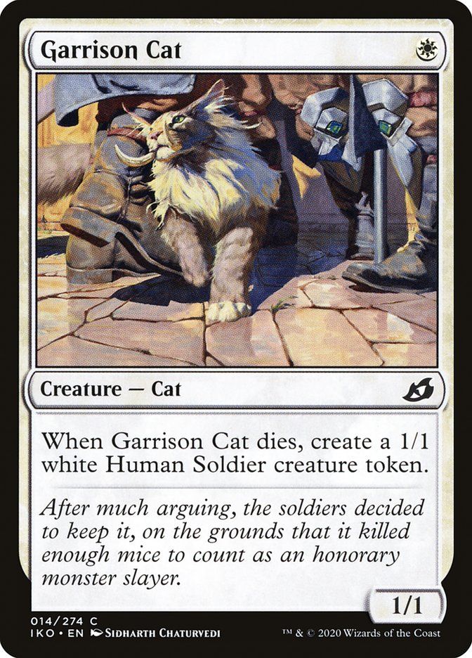 Garrison Cat Garrison Cat