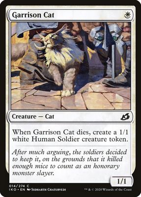 Garrison Cat Garrison Cat