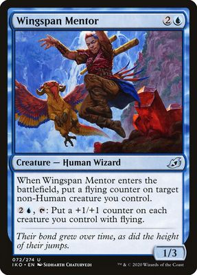 Wingspan Mentor Wingspan Mentor