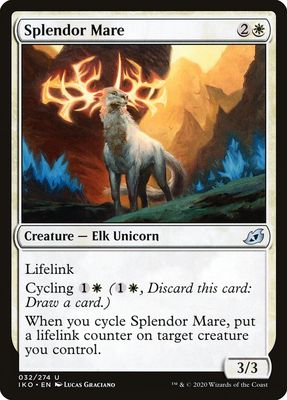 Splendor Mare Splendor Mare