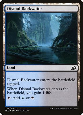 Dismal Backwater Dismal Backwater