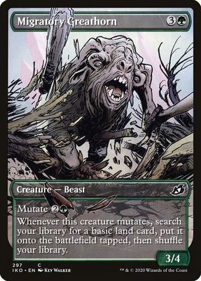 Migratory Greathorn Migratory Greathorn
